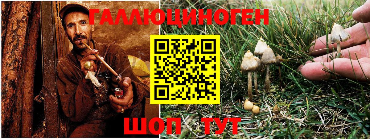 Псилоцибиновые грибы Psilocybine cubensis  закладка  Лиски  Вход с VPN 